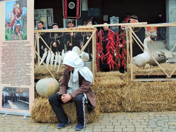 У Берегові відбулись офіційні святкування Дня святого Мартина – 13