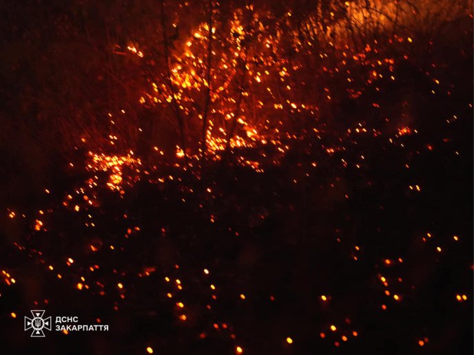Рятувальники показали, як ліквідували масштабну пожежу на Ужгородщині – 02 Рятувальники показали, як ліквідували масштабну пожежу на Ужгородщині – 02