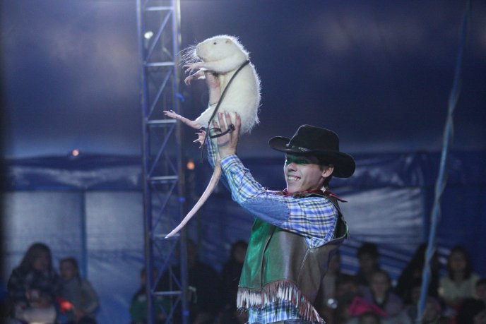 До Мукачева завітає цирк на воді "Рів’єра" – 07 До Мукачева завітає цирк на воді "Рів’єра" – 07