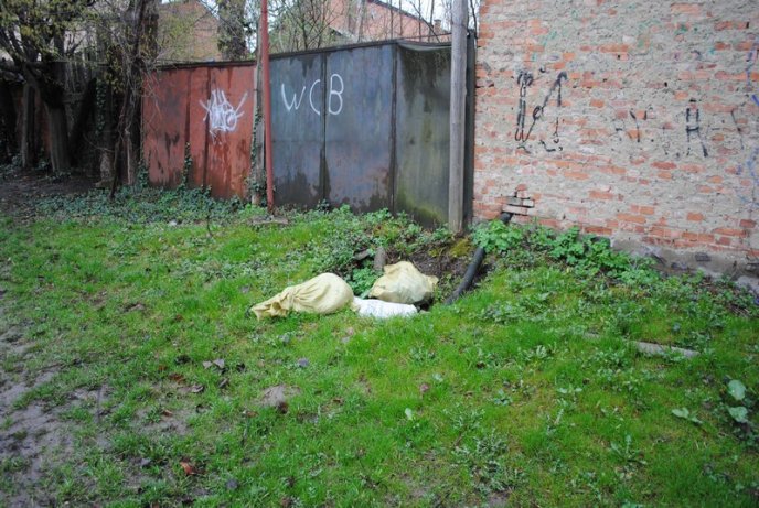 Толока в Мукачеві крізь об’єктив нашого кореспондента (ФОТОРЕПОРТАЖ) – 13