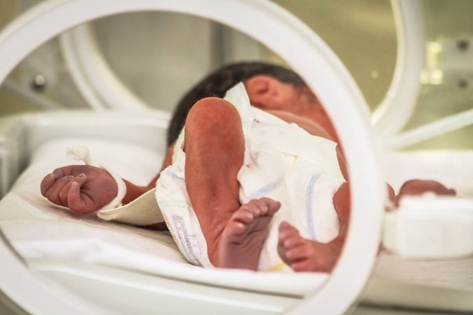 Напередодні Різдва у Мукачівському пологовому будинку народились дві пари двійнят – 03