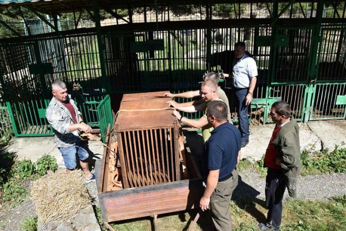 У реабілітаційний центр бурих ведмедів привезли двох нових мешканців – 02 У реабілітаційний центр бурих ведмедів привезли двох нових мешканців – 02