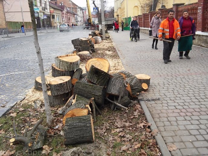 Комунальники зрізали на вулиці Пушкіна у Мукачеві паркан та кілька дерев – 01