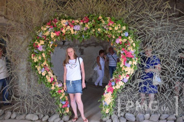 У Чинадієві відбувся фестиваль квітів "Кохання в Сент-Міклоші" – 37