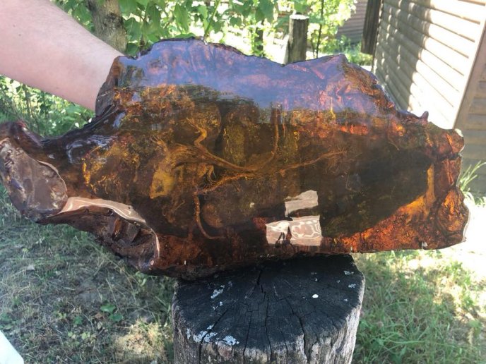 Нардеп Розенблат заявив, що передав музею на Закарпатті шмат бурштину з ящіркою всередині – 03