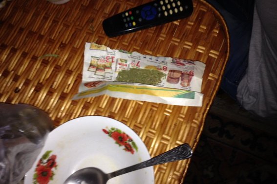 Берегівські поліцейські ліквідували плантацію коноплі, яку вирощував місцевий мешканець – 01