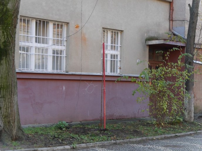 Цього місяця в Ужгороді висадять 250 дерев – 07