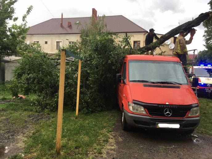 Минулої ночі потужний вітер повалив дерева: постраждало авто – 02