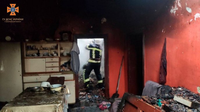 Рятувальники півтори години гасили пожежу в закарпатському селі – 02