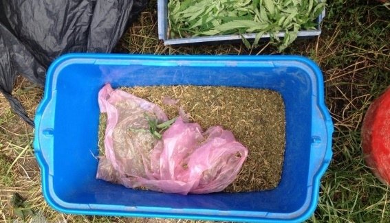 На Мукачівщині теща "здала" зятя-наркомана – 03