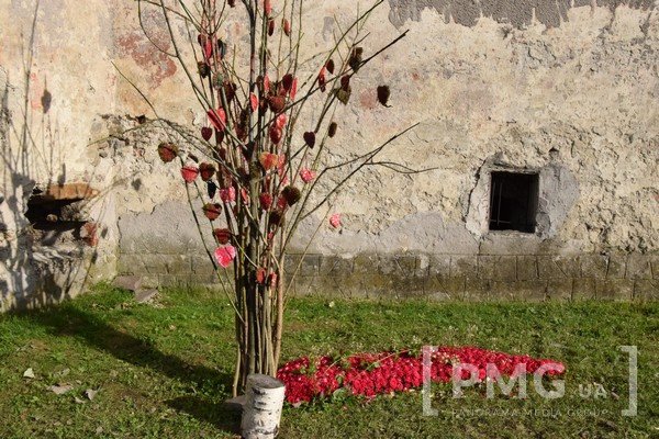 У Чинадієві відбувся фестиваль квітів "Кохання в Сент-Міклоші" – 66