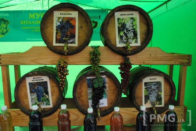 День Святого Мартина у Мукачеві: ціни на вино, шашлик та інші смаколики – 07