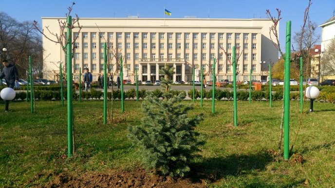 Москаль посадив перед ОДА ялинку, яка в майбутньому перетвориться на головну новорічну прикрасу Закарпаття – 06 Москаль посадив перед ОДА ялинку, яка в майбутньому перетвориться на головну новорічну прикрасу Закарпаття – 06