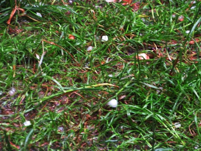 У Мукачеві під час сильної зливи випав град розміром з вишню – 08