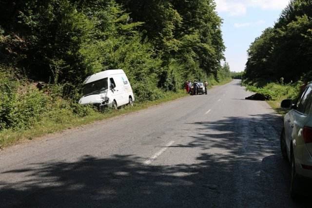 Курйозна ДТП на Виноградівщині: корова стала причиною аварії – 01