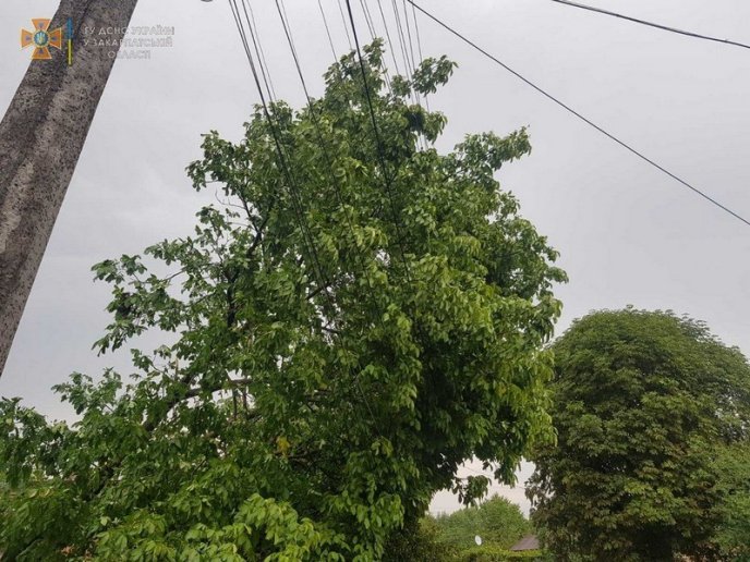 Повалені дерева і знеструмлені села: рятувальники показали наслідки негоди – 05