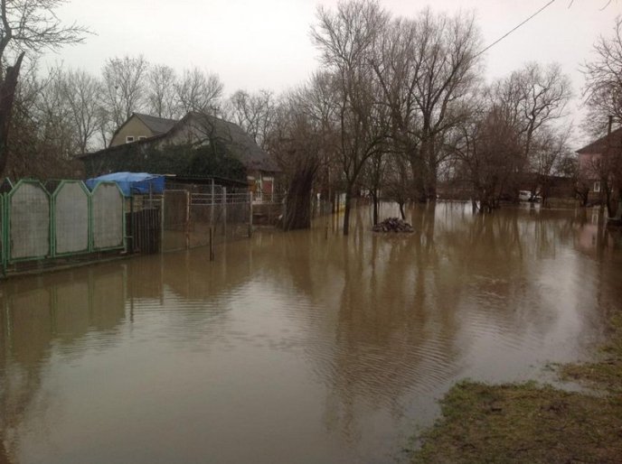 Мукачівський район у воді: підтоплено 150 дворогосподарств, людям підвозять питну воду (ФОТО) – 05