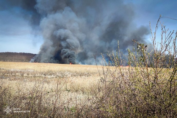 Майже 60 людей гасили масштабну пожежу на Закарпатті – 04
