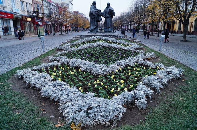 У центрі Мукачева комунальники висадили морозостійкі квіти – 02