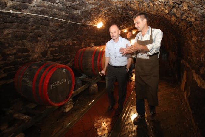 Під час візиту на Берегівщину губернатор Закарпаття пообіцяв захистити виноробів і пивоварів – 12