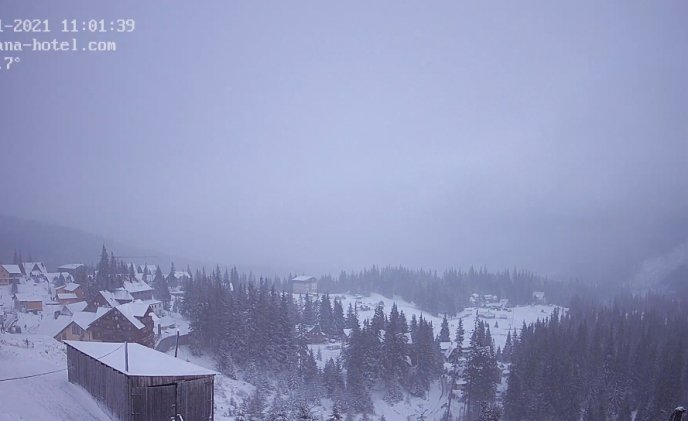 У ніч на Новий рік гори Закарпаття засипало снігом. Сніг продовжує падати – 04