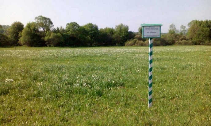 У Долині нарцисів уже цвітуть квіти – 07 У Долині нарцисів уже цвітуть квіти – 07