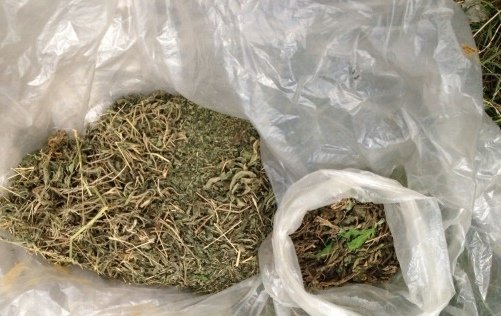 На Мукачівщині теща "здала" зятя-наркомана – 02