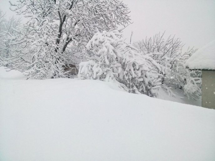 Казкова зима у селі Брестів на Мукачівщині: неймовірні фото – 10