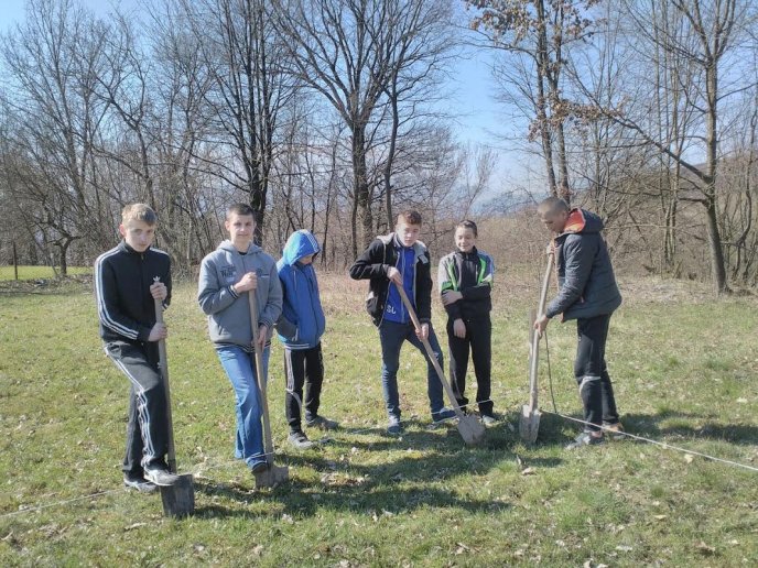 У Калинах та Кривому на Тячівщині саджали горіхи – 04