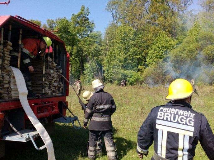 Рятувальники спільно з лісниками приборкували умовну пожежу в лісовому масиві с. Н.Коропець – 09