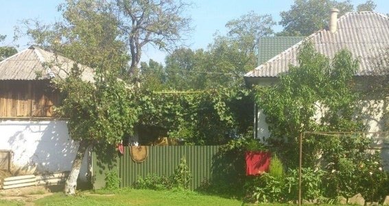 На Іршавщині 44-річний неврівноважений чоловік забив свою матір до смерті – 01