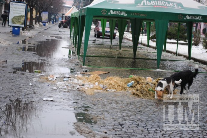 Після фестивалю “Червене вино” залишилось багато яскравих спогадів і … велика купа сміття (ФОТО) – 03 Після фестивалю “Червене вино” залишилось багато яскравих спогадів і … велика купа сміття (ФОТО) – 03