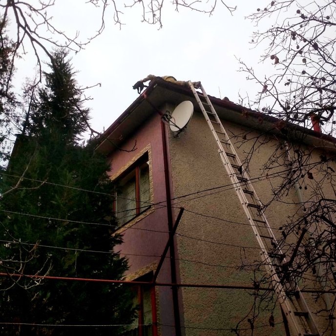 Як рятувальники коту допомагали – 04