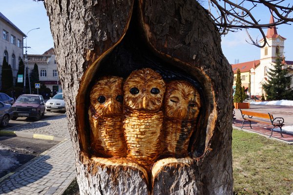 У старому дереві у Тячеві майстер вирізьбив совину родину – 01