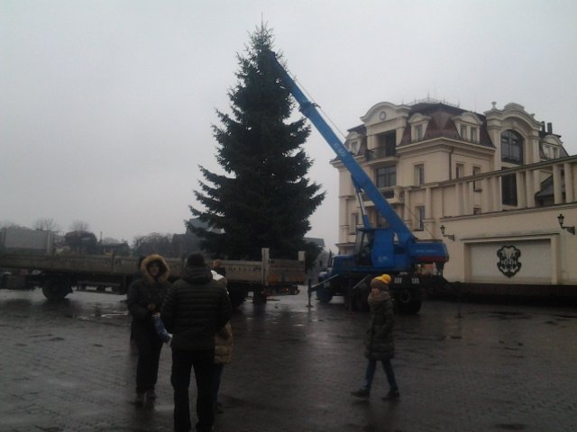 У центрі Ужгорода встановили новорічну ялинку – 01