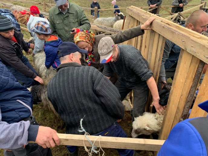 "Випускний" для вівчарів: у гірському селі провели колоритний захід – 06