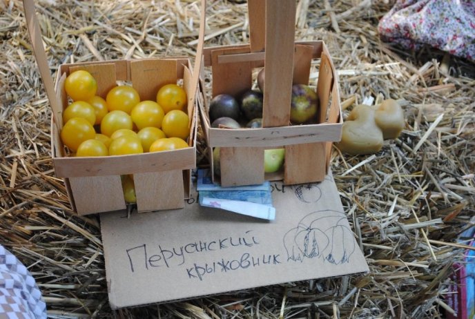 В Ужгороді проходить благодійна "Міська барахолка" – 08