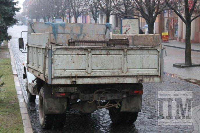 У Мукачеві комунальники досі "ганяються" за бездомними собаками (ФОТОФАКТ) – 01