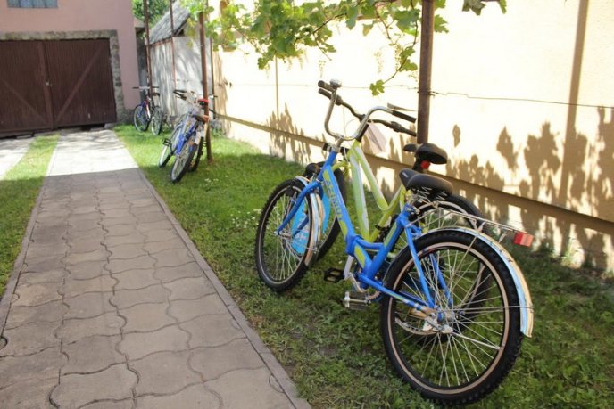 У Мукачеві відкрили дитячий будинок сімейного типу – 01