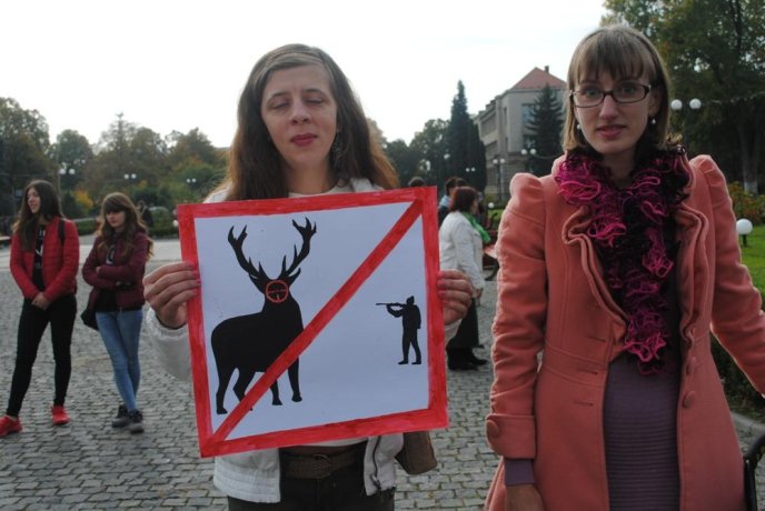 Пес на візку став одним із учасників маршу за права тварин в Ужгороді – 05