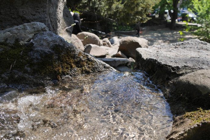 В Ужгороді запрацювали усі фонтани – 02