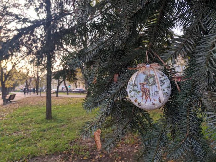 В області розпочали прикрашати ялинки: закарпатців просять долучитися до акції – 07