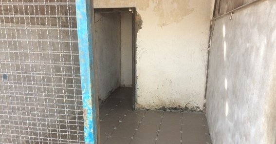 У Мукачеві відбудеться чемпіонат України серед кінологів – 02