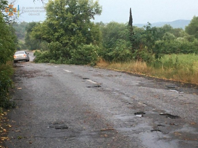 Повалені дерева і знеструмлені села: рятувальники показали наслідки негоди – 06