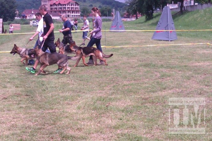 На міській набережній Мукачева провели вже традиційну виставку собак (ФОТО) – 03