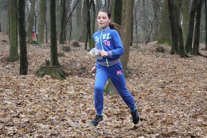 Спортивні орієнтувальники відзначили річницю Карпатської України обласним турніром (ФОТО) – 10