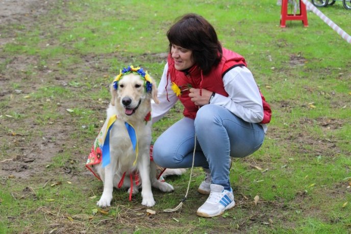 В Ужгород привезли понад 150 собак із різних областей України – 17