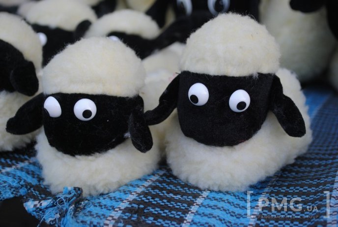 У Мукачеві розпочався "Медовий ярмарок – 2015" – 24