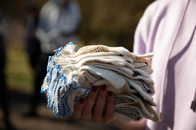 500 дерев задля відновлення лісів Закарпаття, – працівники "Джейбіла" висадили хвойні в урочищі "Дубки" – 02