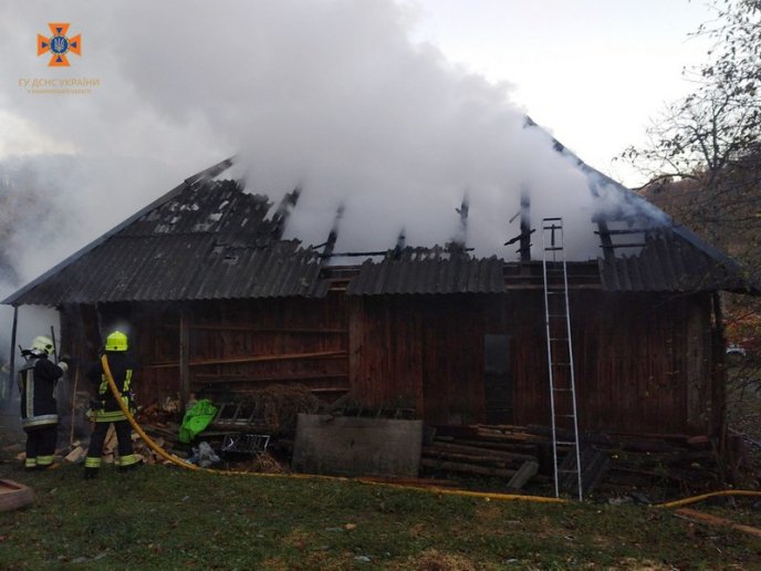 Чоловік намагався врятувати: на Закарпатті загинула жінка – 02 Чоловік намагався врятувати: на Закарпатті загинула жінка – 02